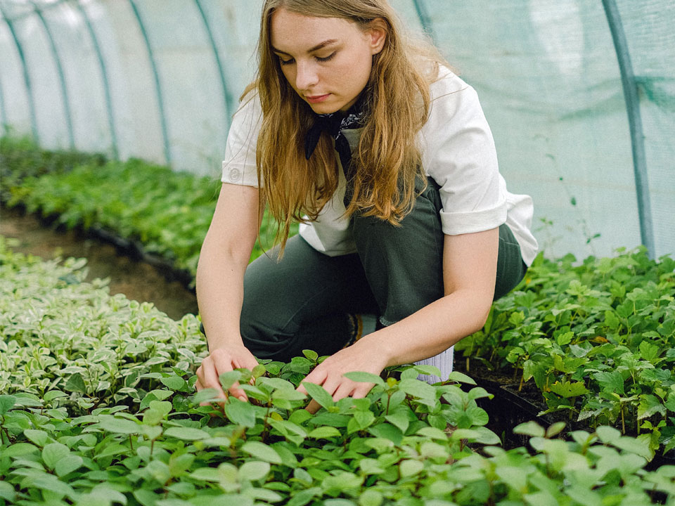 Circo Kernow horticulture Course