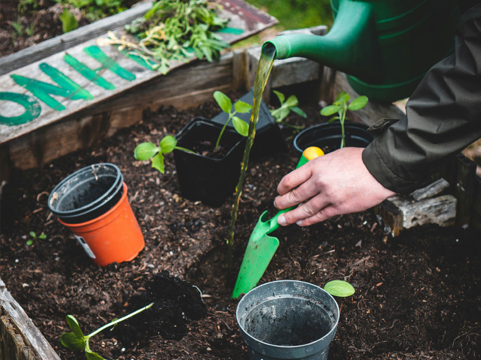 Circo Kernow horticulture Course